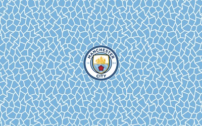 爱赢电竞-佐默扑出必进球后淡定喝水